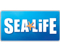 Sealife